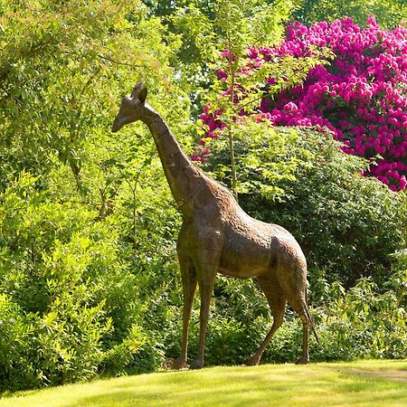 Tyrrells Park Panzió Ringwood Kültér fotó