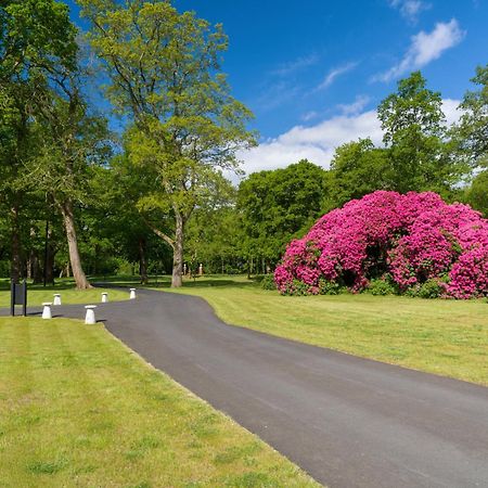 Tyrrells Park Panzió Ringwood Kültér fotó