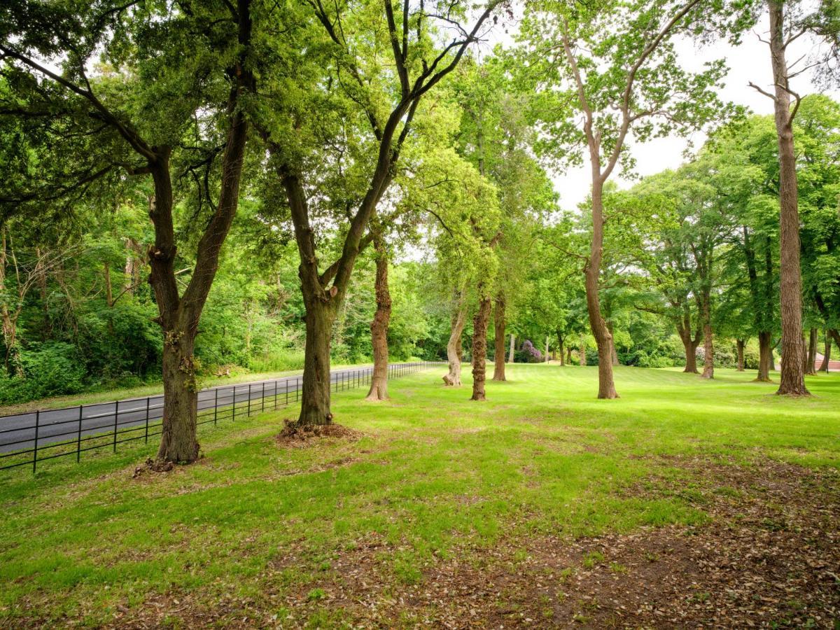 Tyrrells Park Panzió Ringwood Kültér fotó