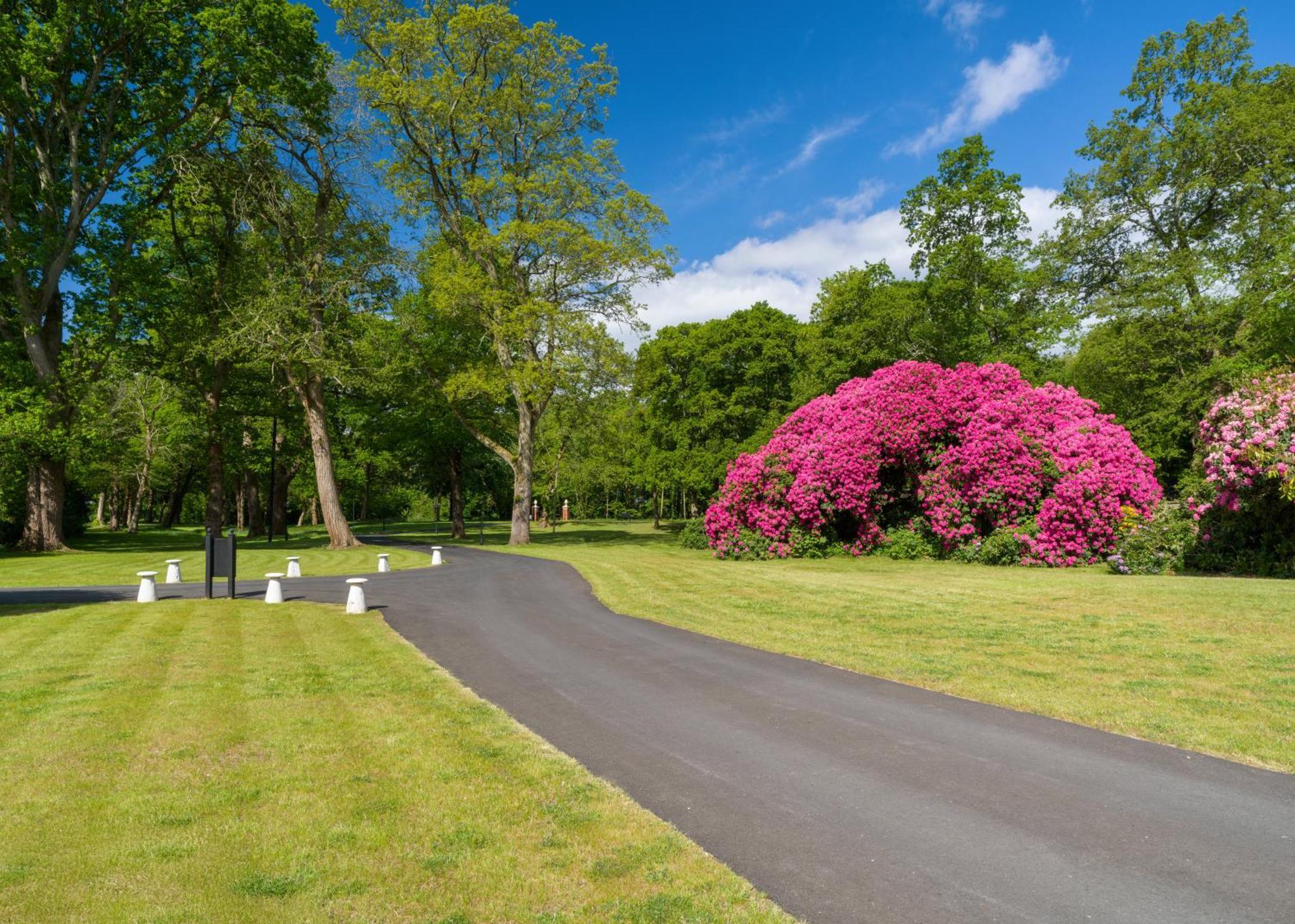 Tyrrells Park Panzió Ringwood Kültér fotó